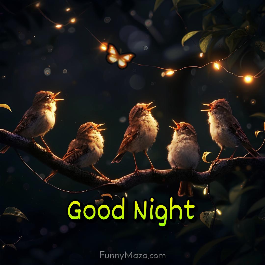 Good Night Five Birds Images