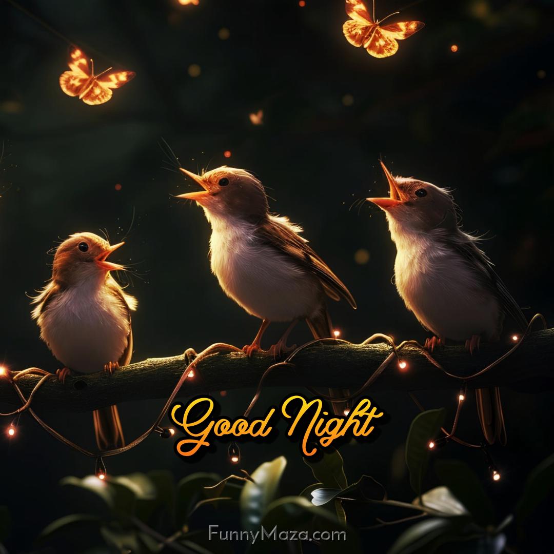 Good Night Three Birds Images