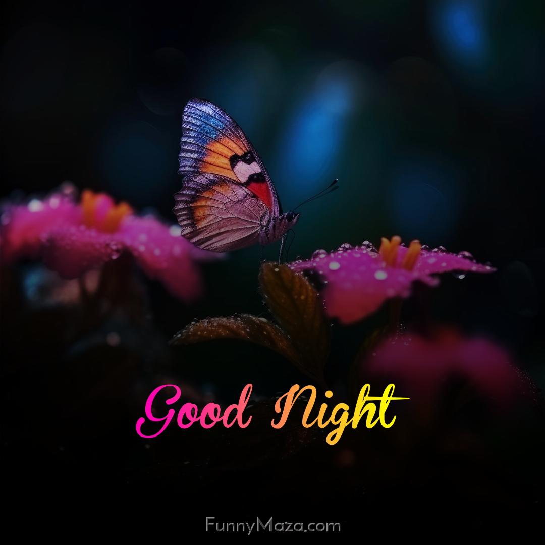 Best Good Night Butterfly Images Download