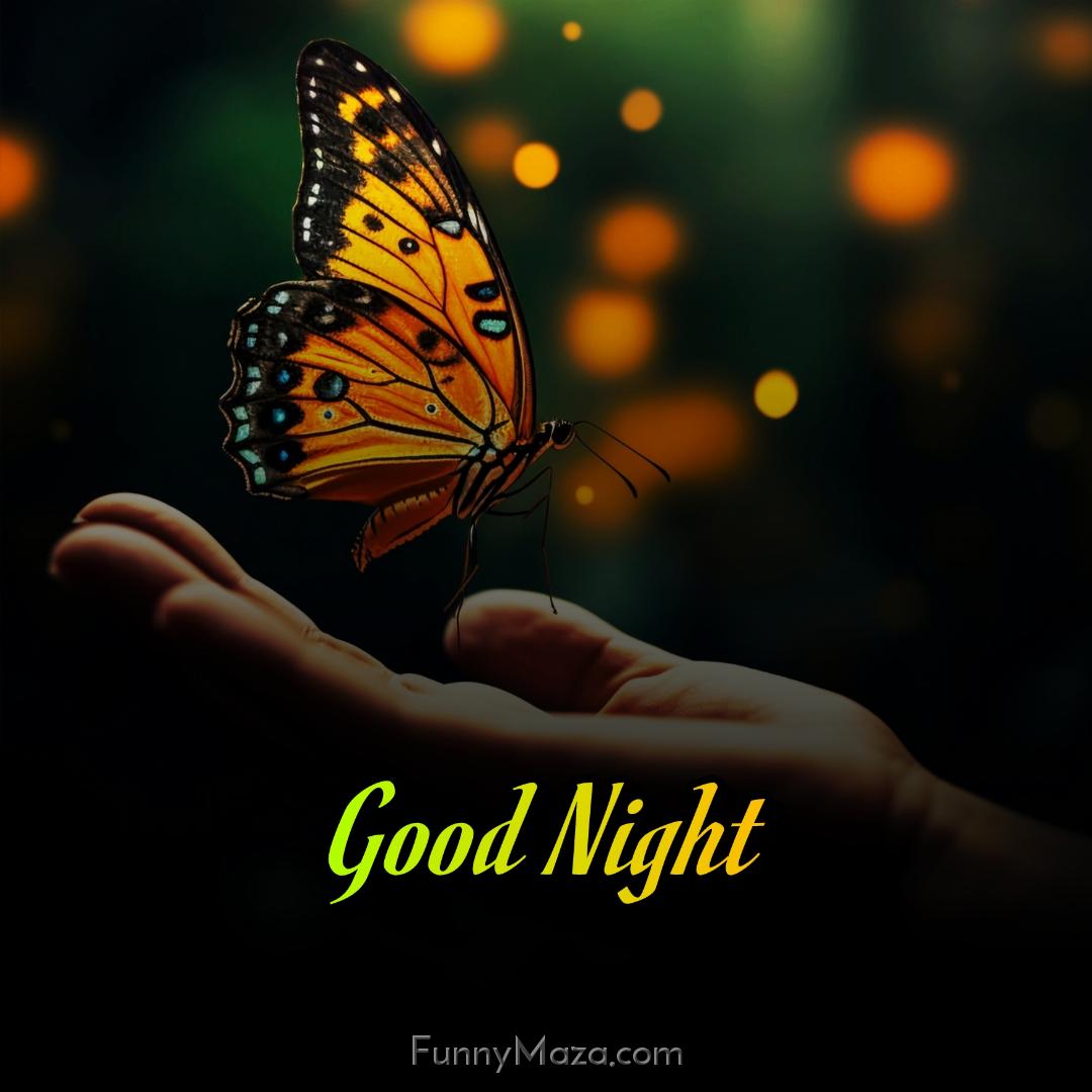 Butterfly Images For Good Night