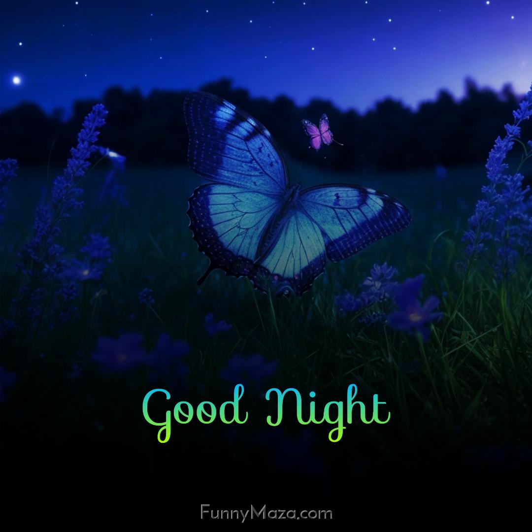 Good Night Butterfly Pic Download