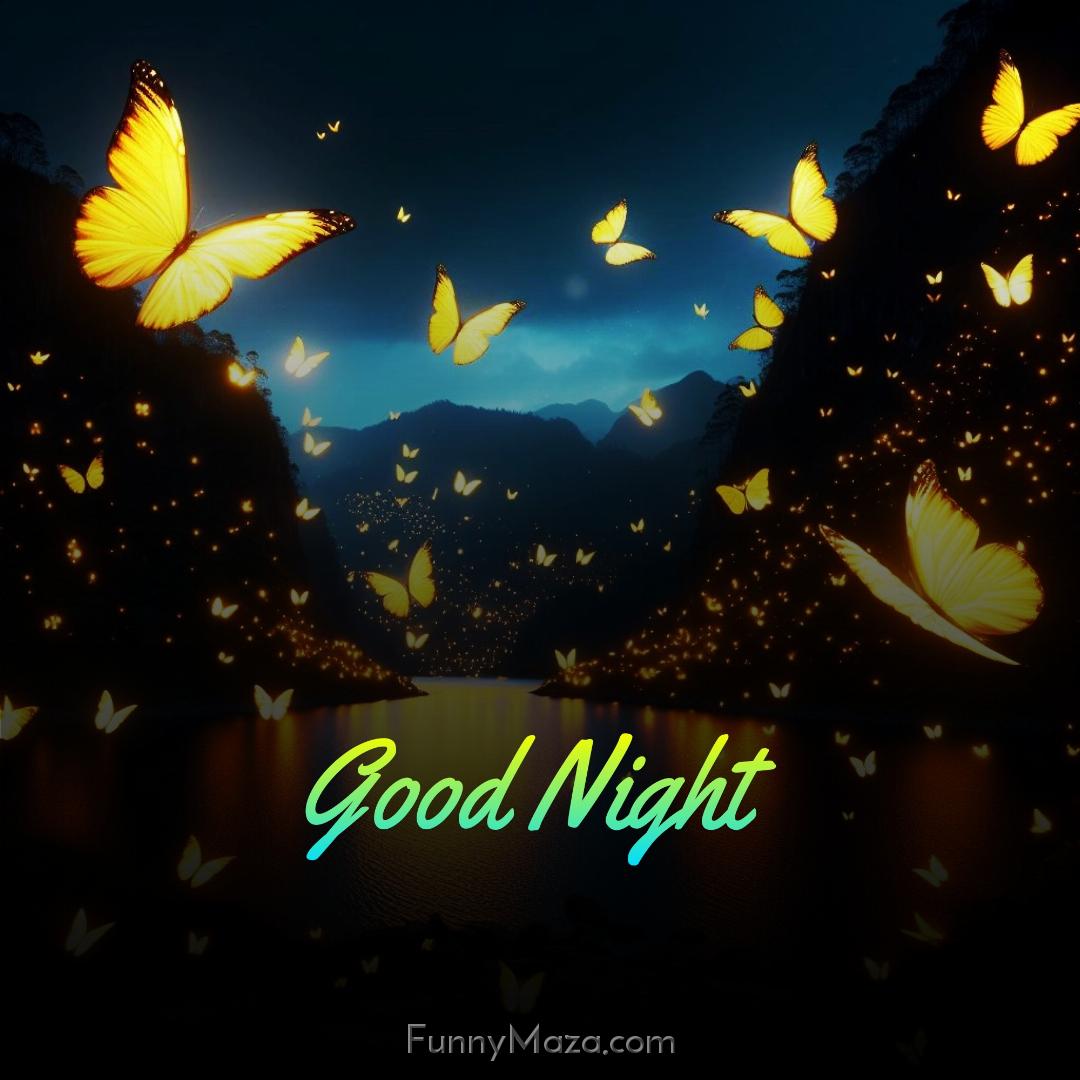 Good Night Butterfly Pictures