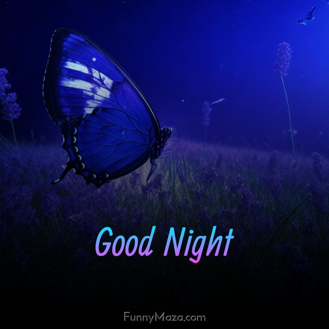 Good Night Images Of The Butterfly