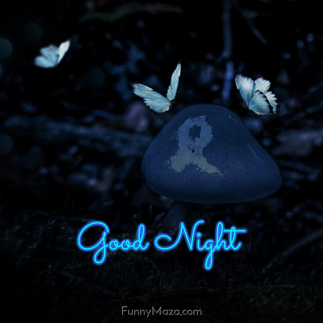 Good Night Images With Butterfly