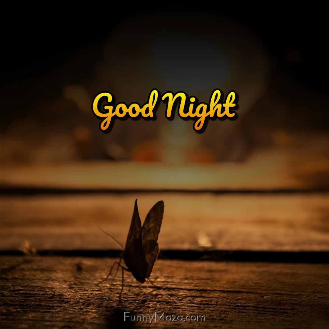 Goodnight Butterfly Images