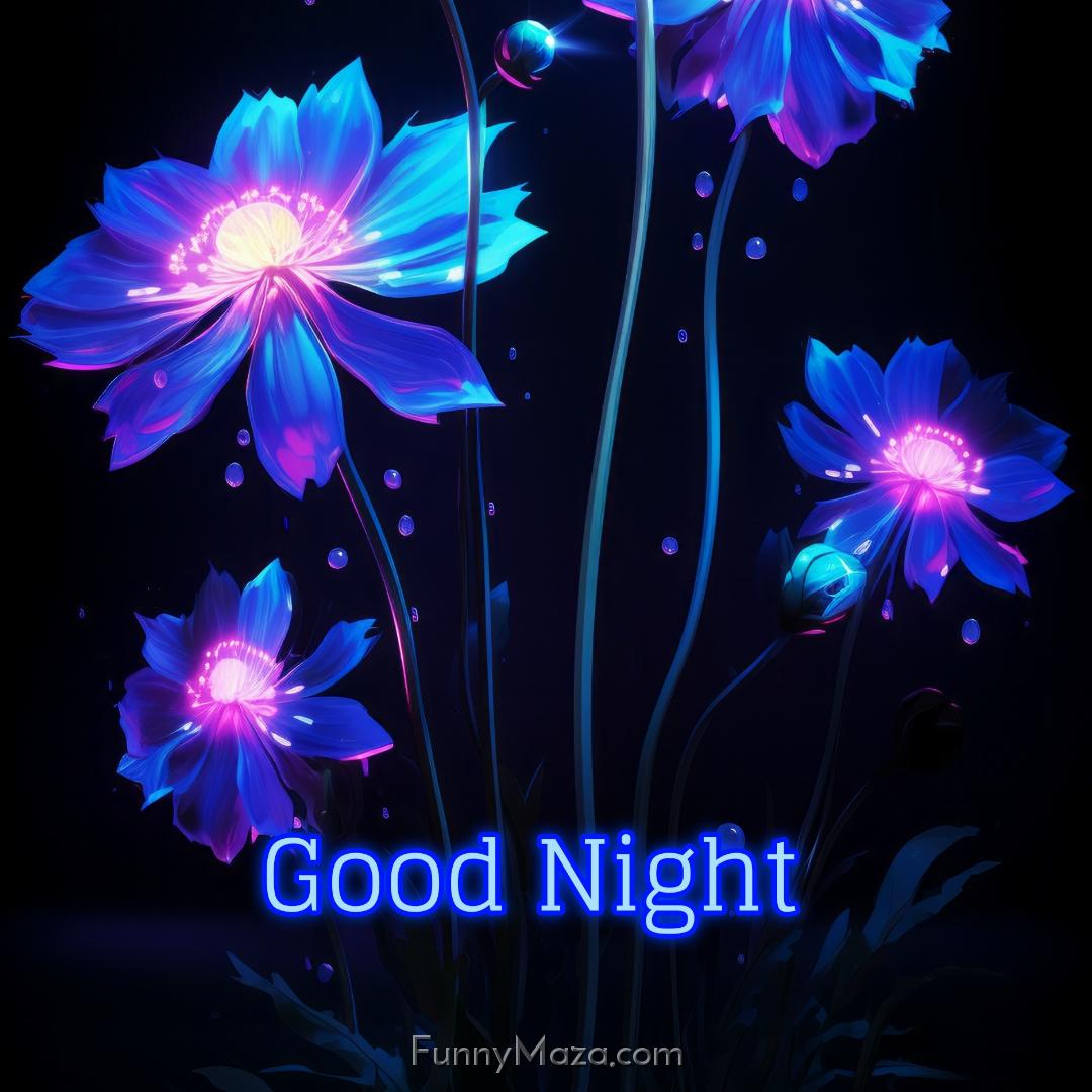 A Good Night Flower