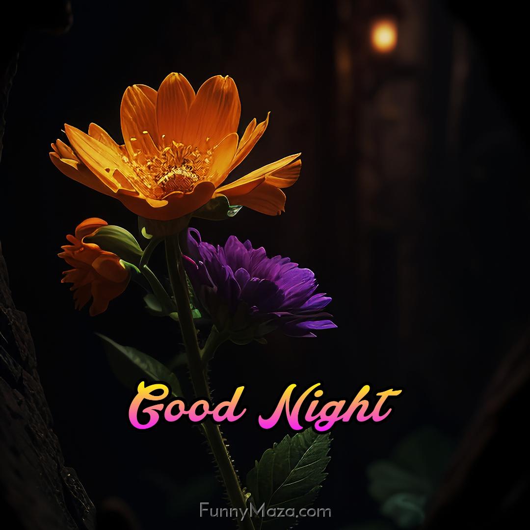 Best Good Night Flowers Images