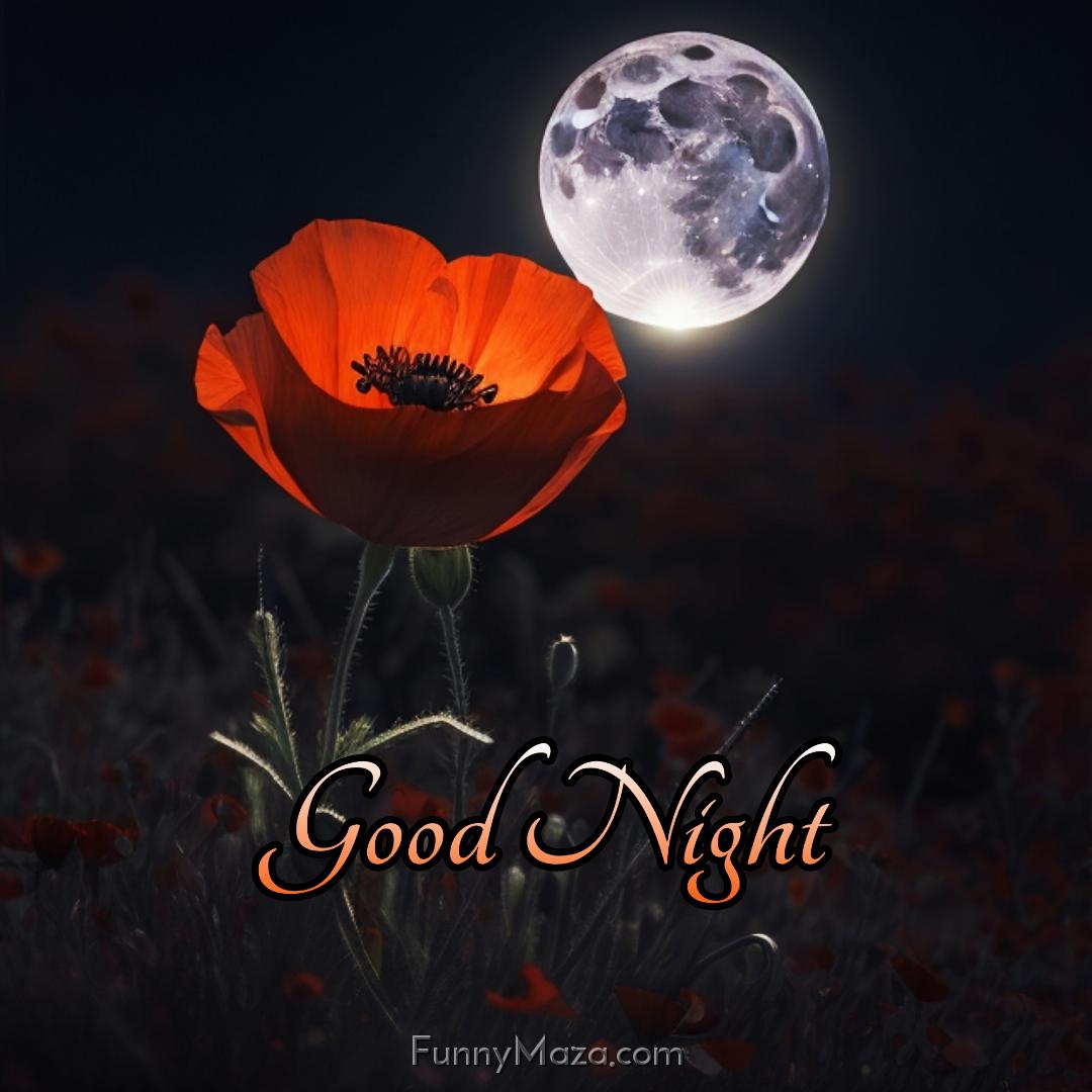 Good Night Flower Images 2024 HD