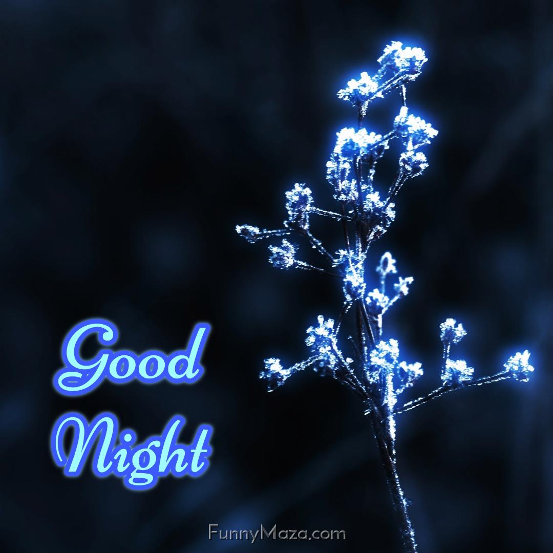 Good Night Flower Images Download