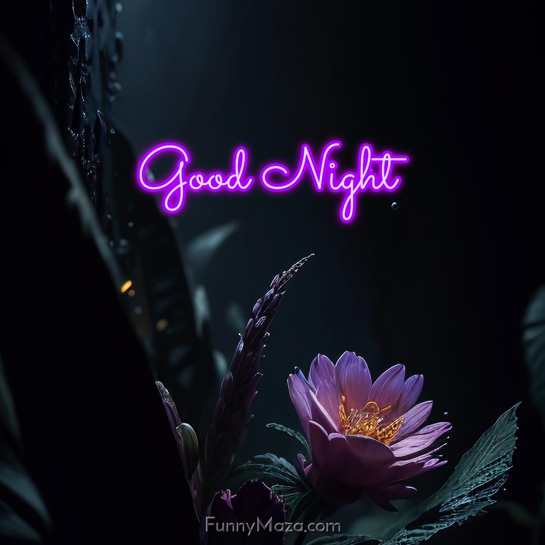 Good Night Flower Images Free