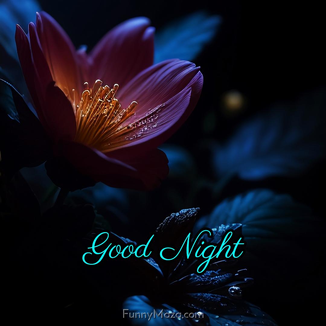 Good Night Flower Images HD