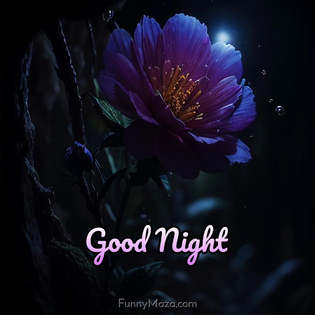 Good Night Flower Images New