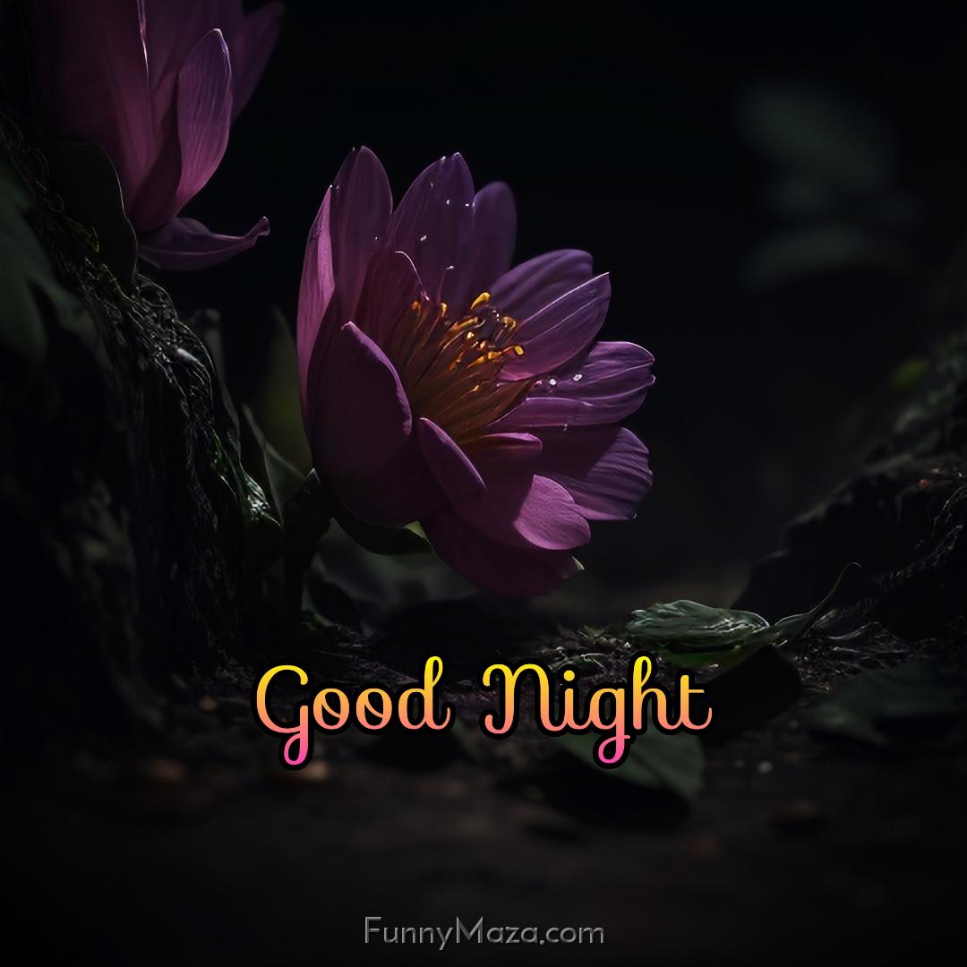 Good Night Flowers Images Download