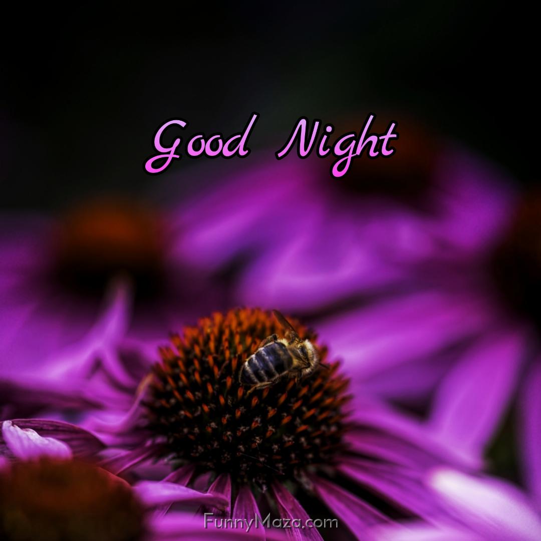 Good Night Flowers Ki Imagss