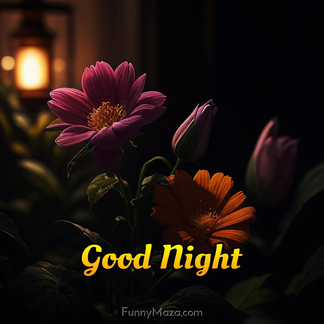 Images Of Good Night Flowers Download