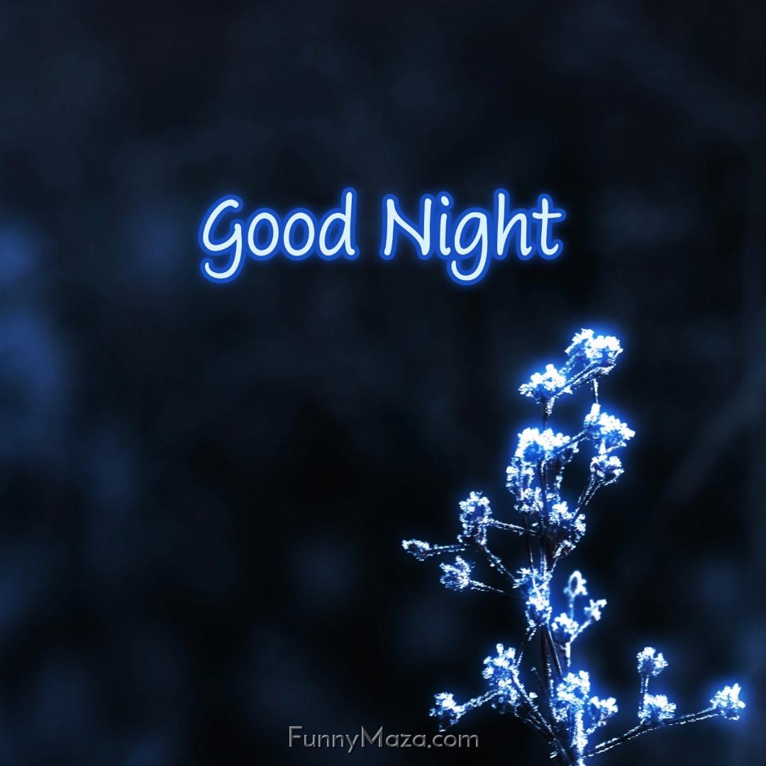 Images Of Good Night Flowers