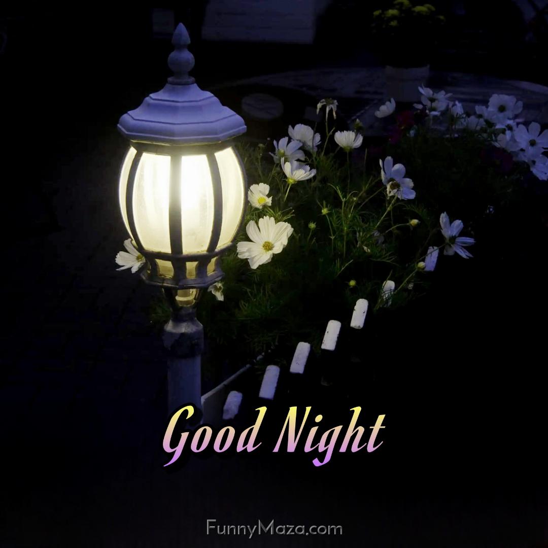 Good Night Images Of Lantern