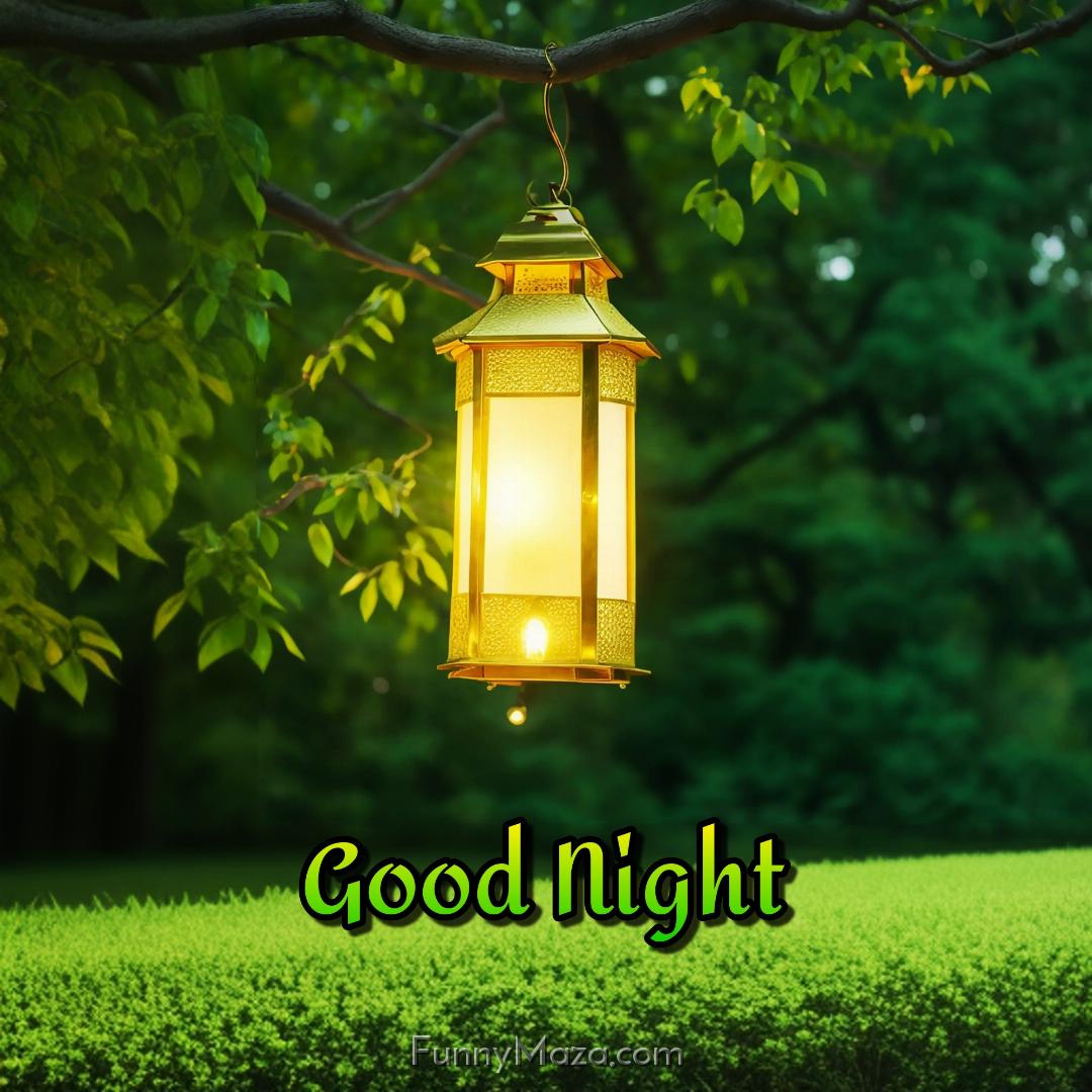 Good Night Lantern Nature Images