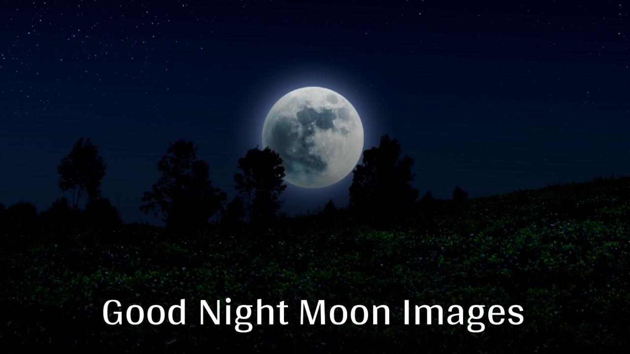 Beautiful Good Night Moon Images