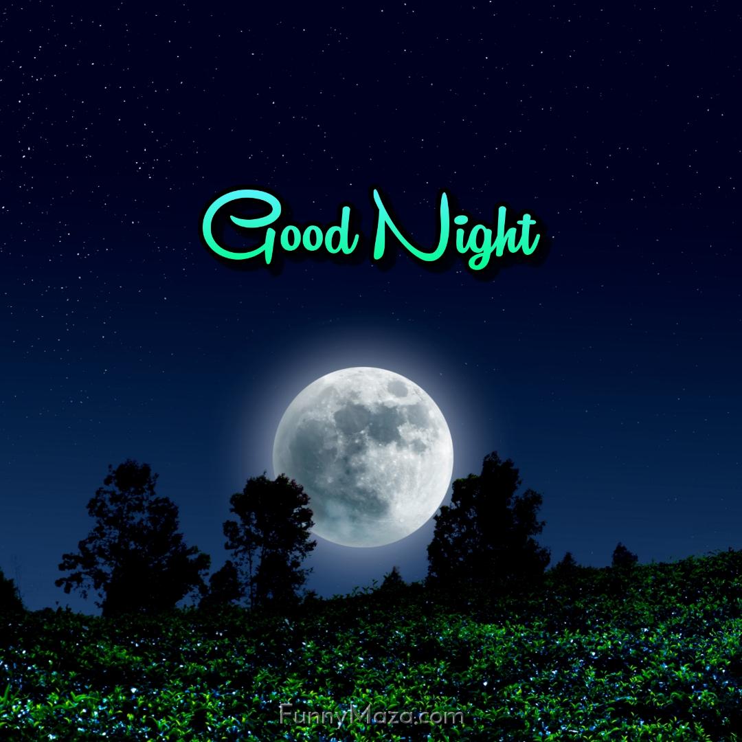 Good Night Moon Ki Images