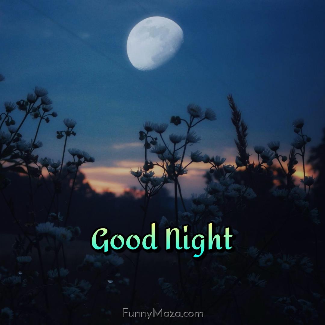 Goodnight Moon Images Download