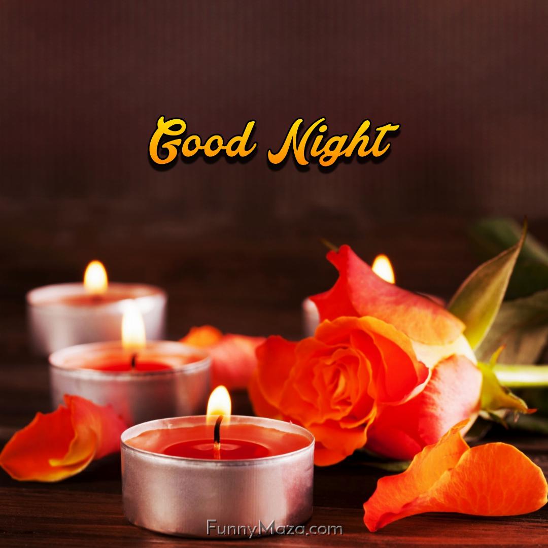 New Good Night Rose With Candles Images 2024 HD Download