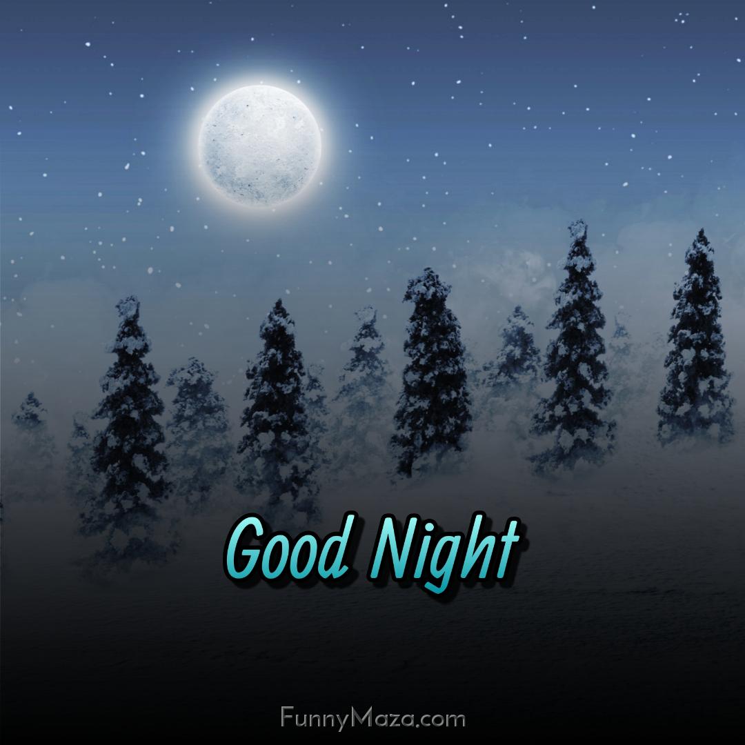 Good Night Moon Winter Images