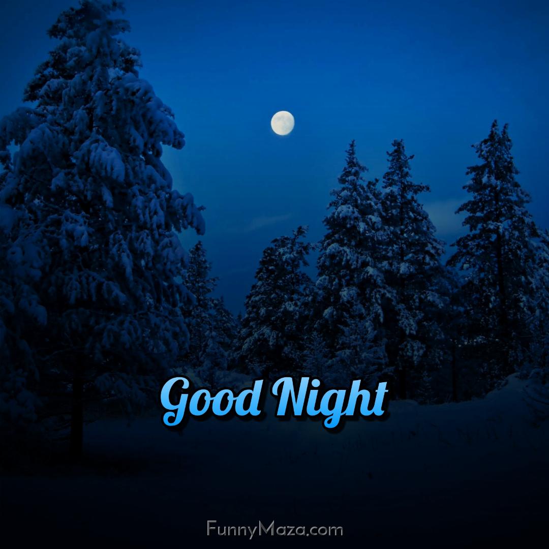 Good Night Winter Photos