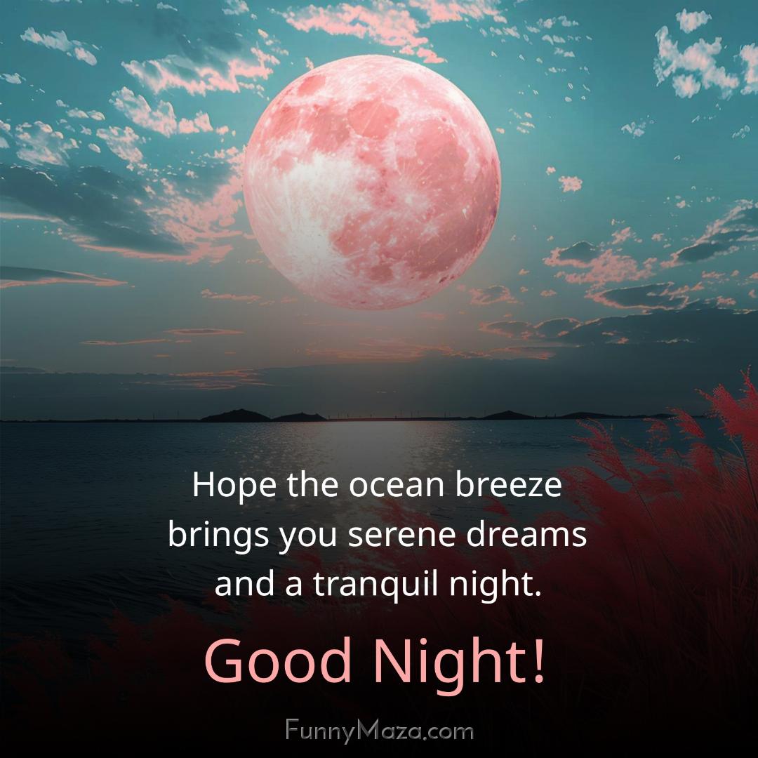 Hope the ocean breeze brings you serene dreams and a tranquil