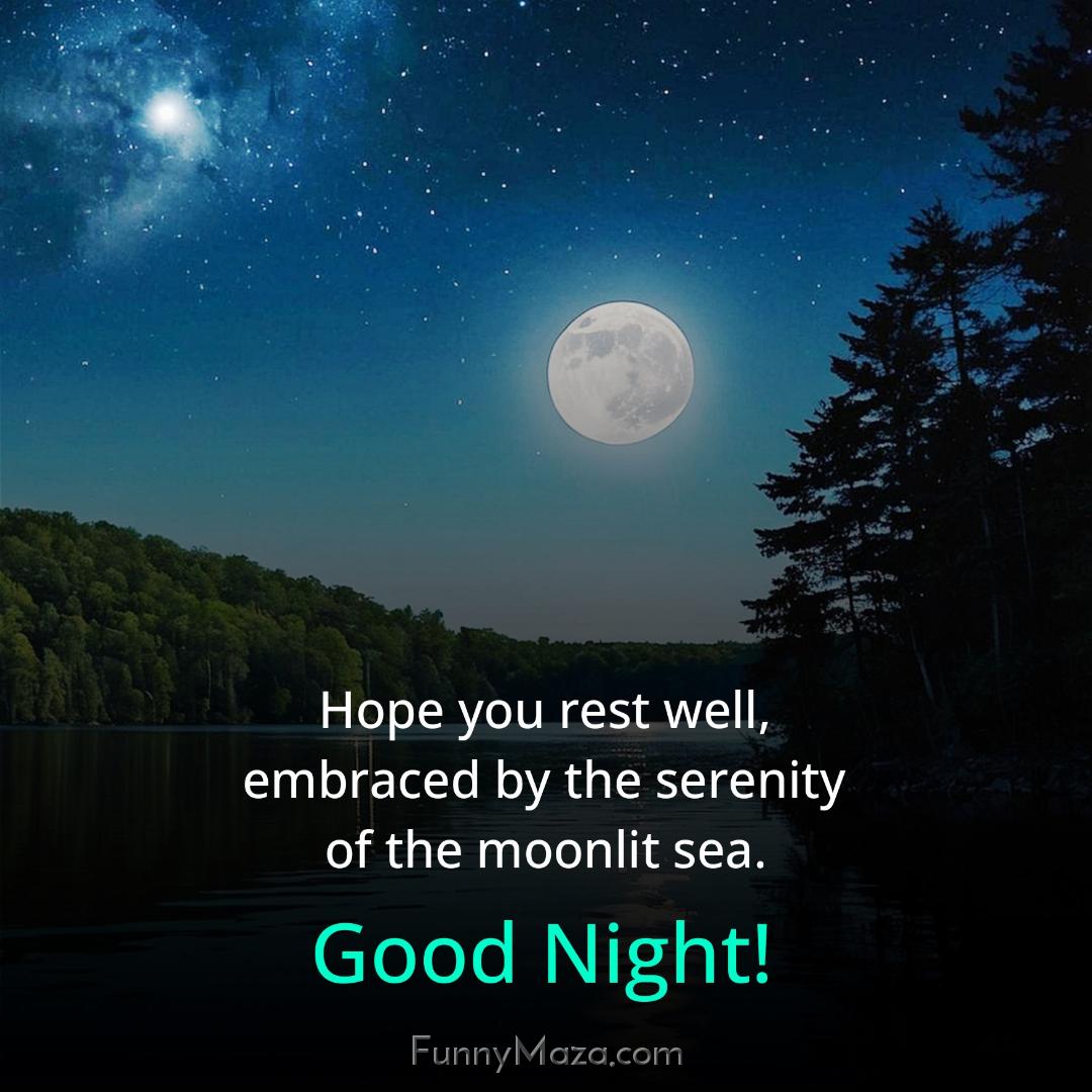 Hope you rest well embraced by the serenity of the moonlit