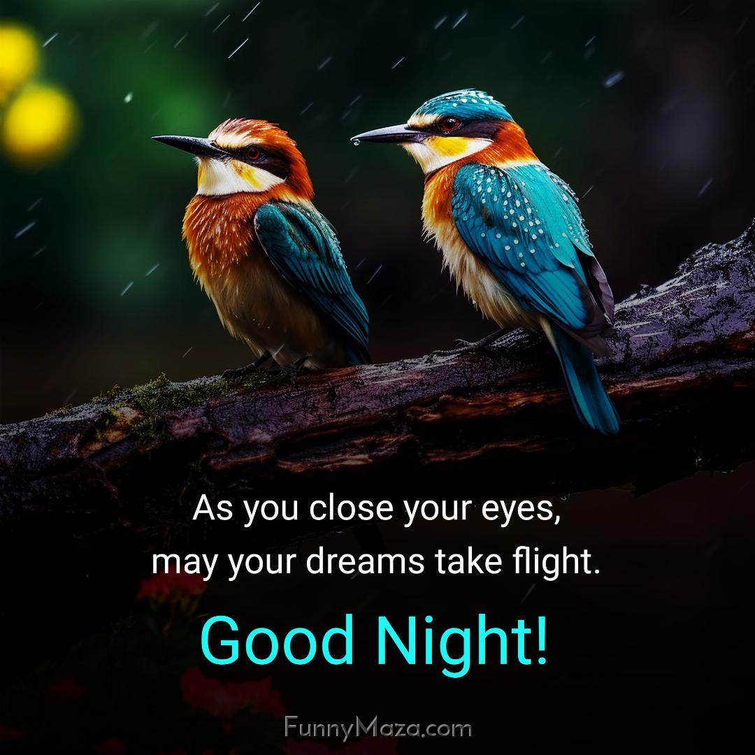 As you close your eyes may your dreams take flight