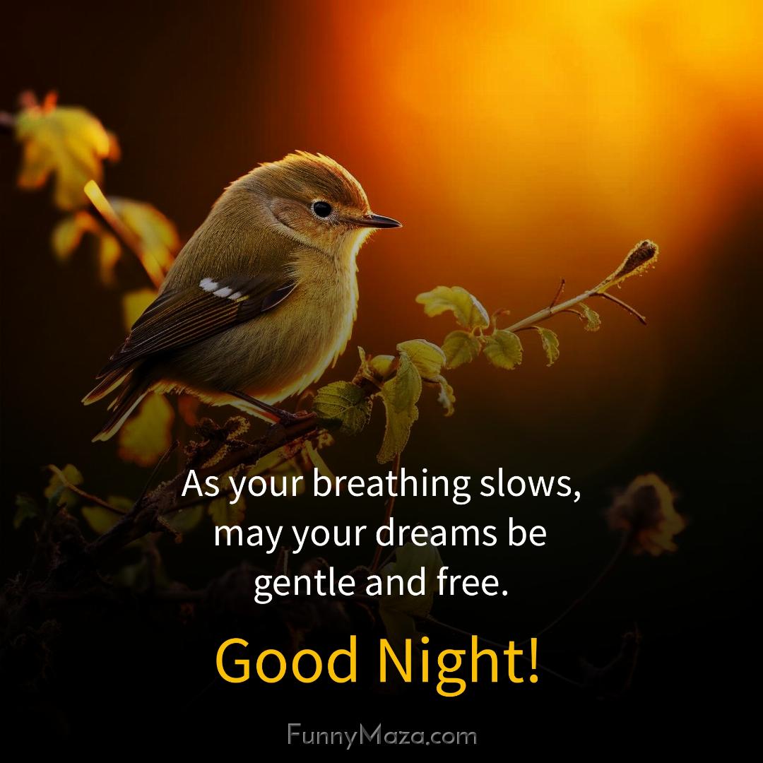 As your breathing slows may your dreams be gentle and free