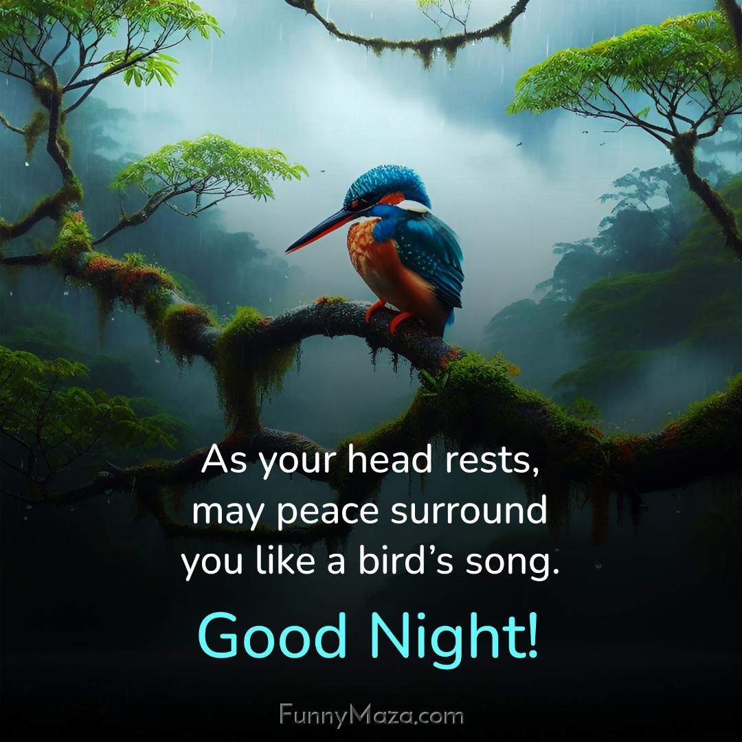 As your head rests may peace surround you like a bird’s