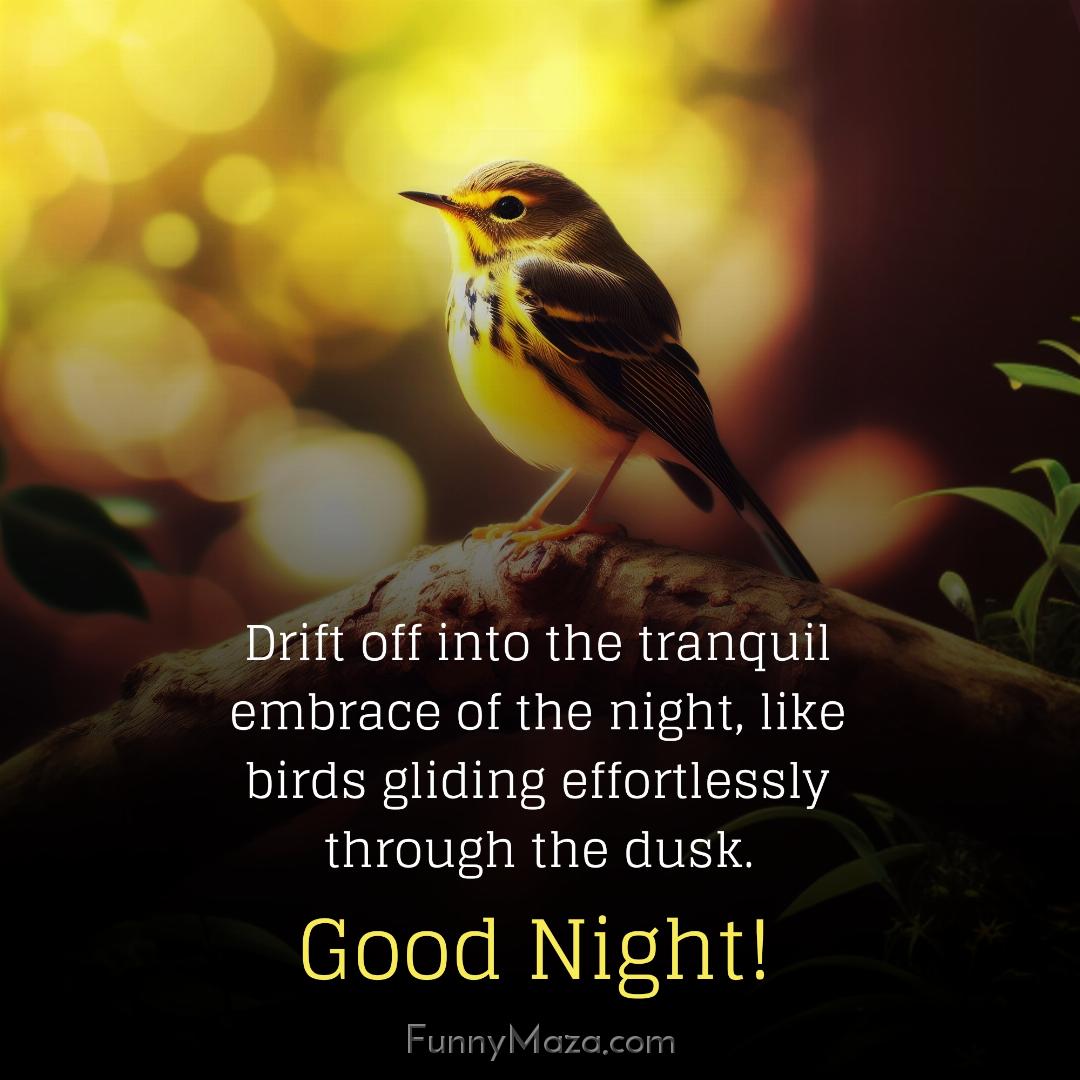 Drift off into the tranquil embrace of the night like birds