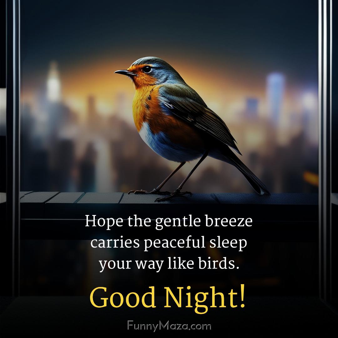 Hope the gentle breeze carries peaceful sleep your way like birds