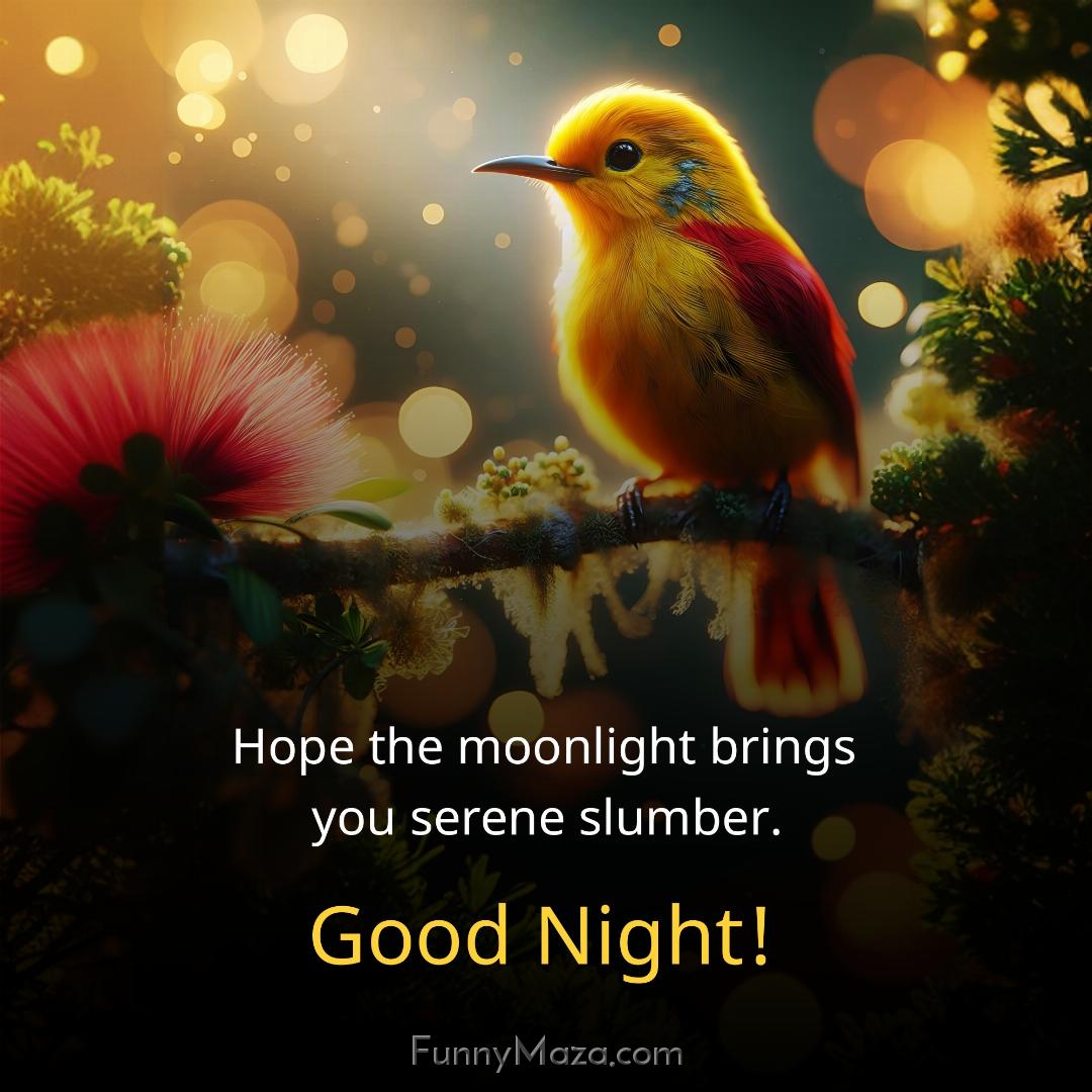 Hope the moonlight brings you serene slumber