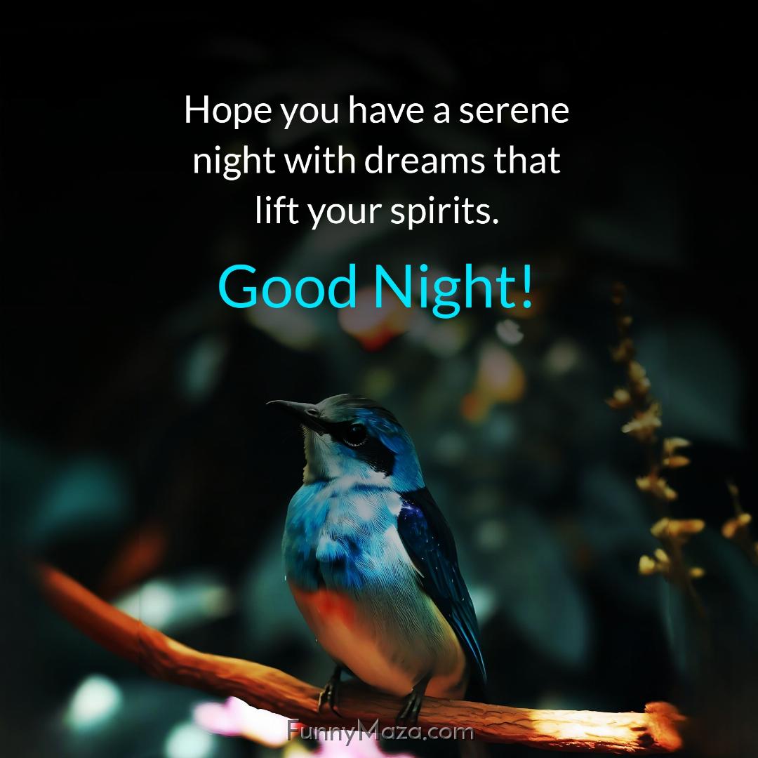 Hope you have a serene night with dreams that lift your