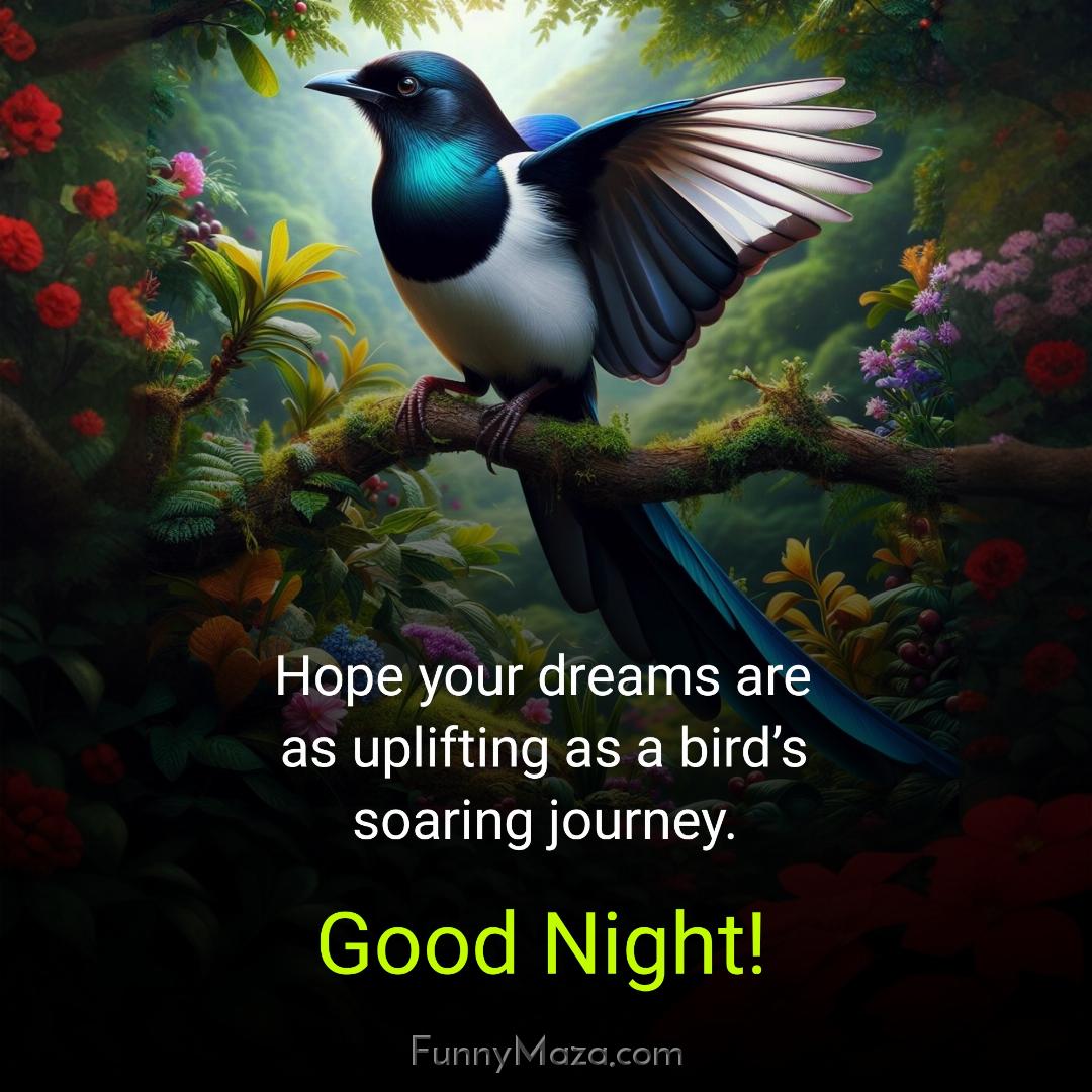 Hope your dreams are as uplifting as a bird’s soaring journey