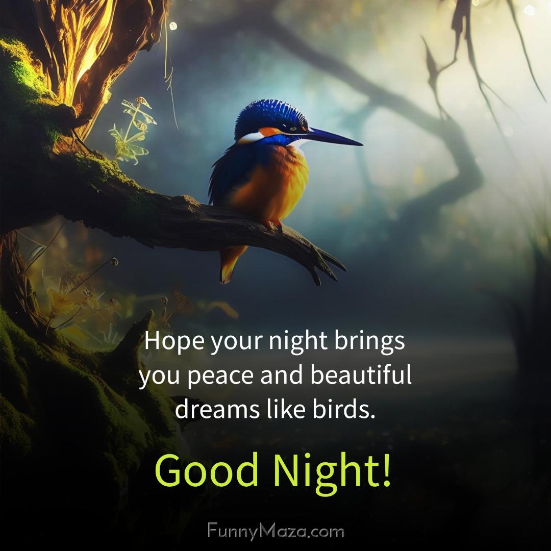 Hope your night brings you peace and beautiful dreams like birds