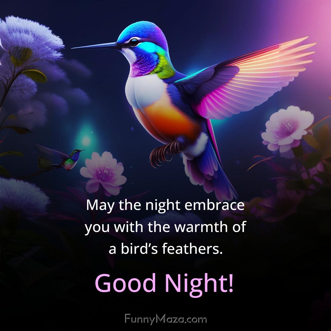 May the night embrace you with the warmth of a bird’s