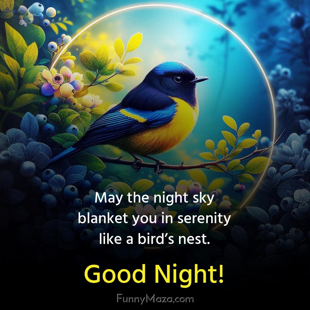 May the night sky blanket you in serenity like a bird’s