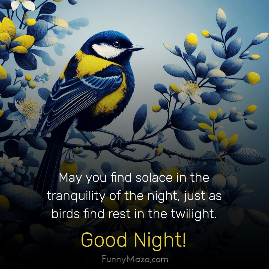 May you find solace in the tranquility of the night just