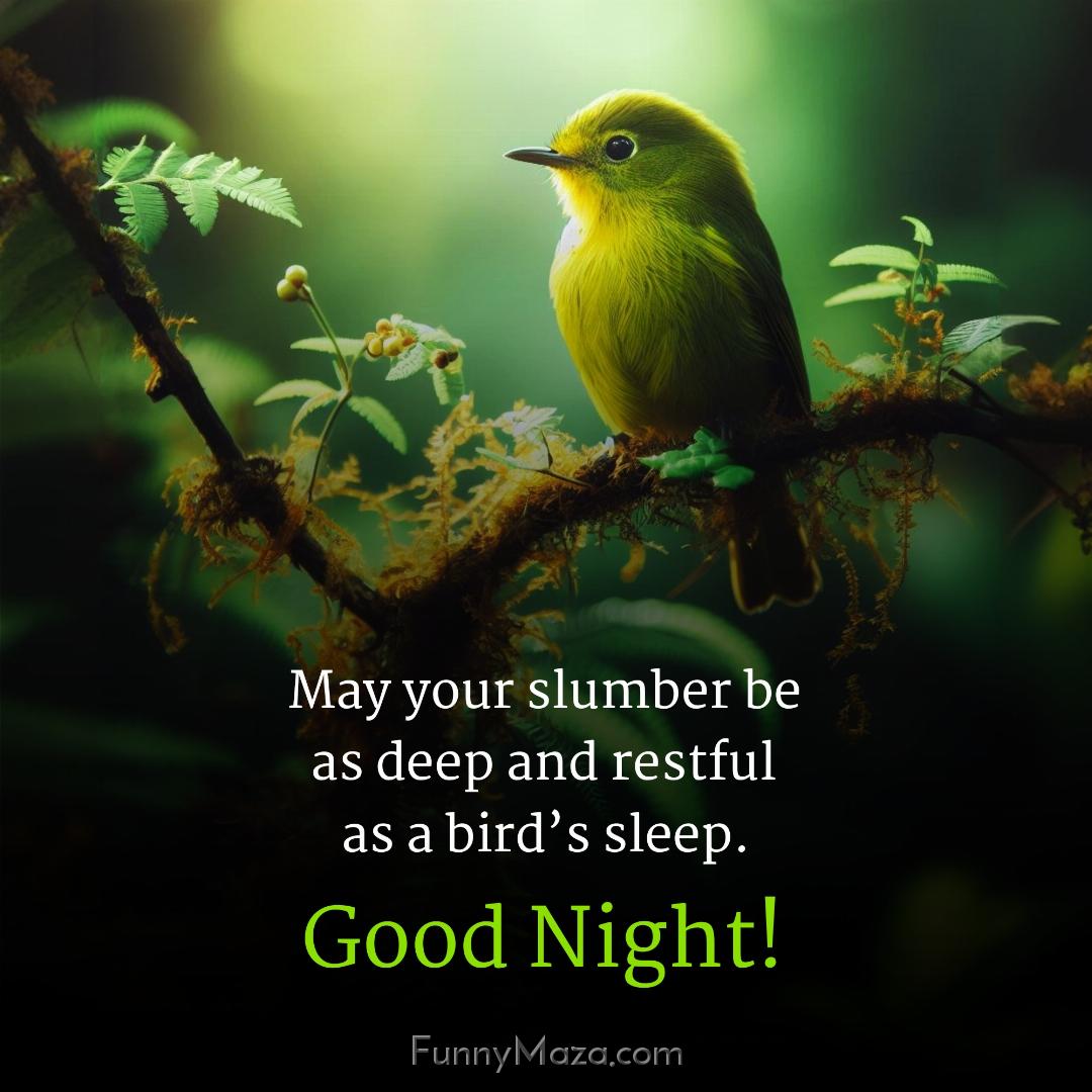 May your slumber be as deep and restful as a bird’s