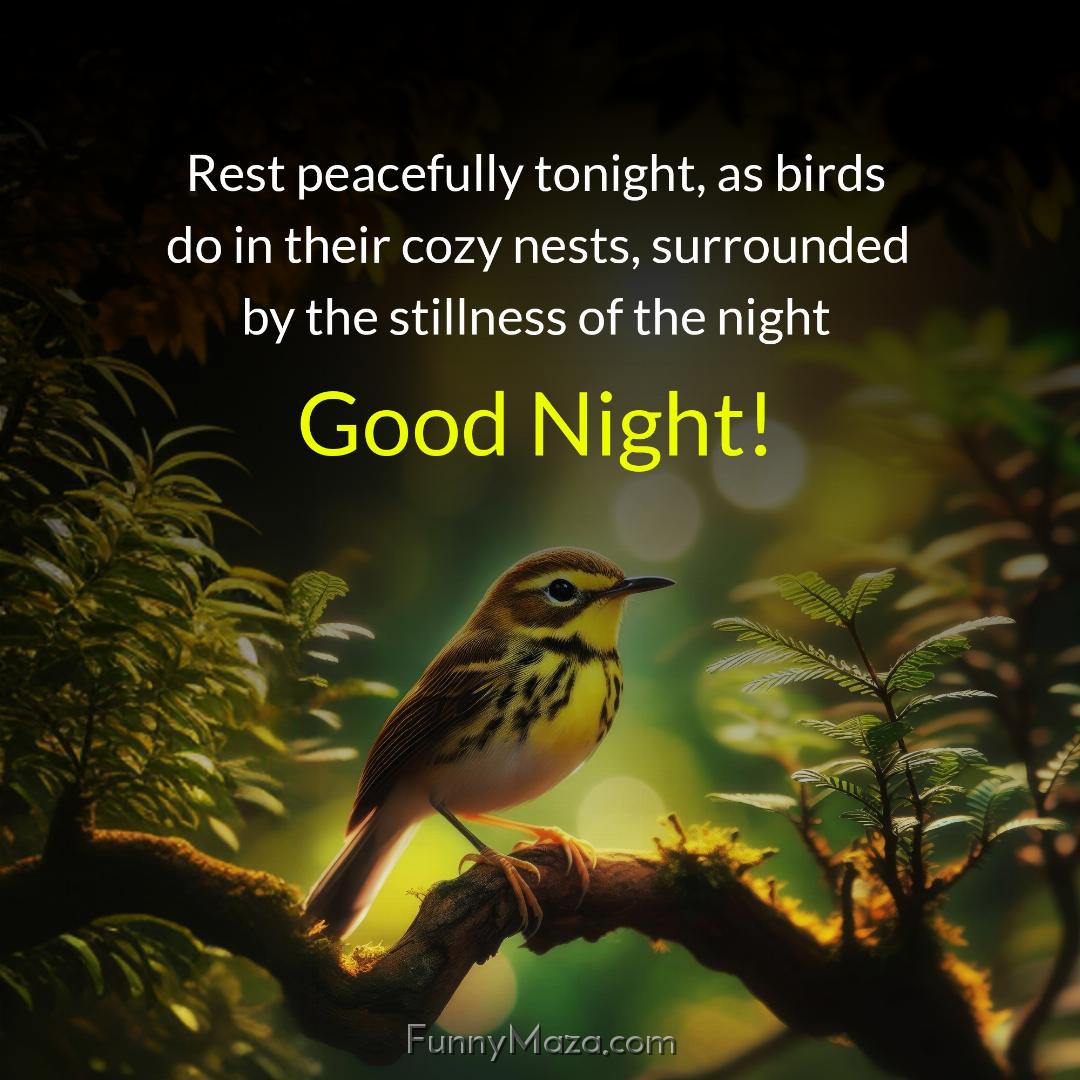 Rest peacefully tonight as birds do in their cozy nests surrounded