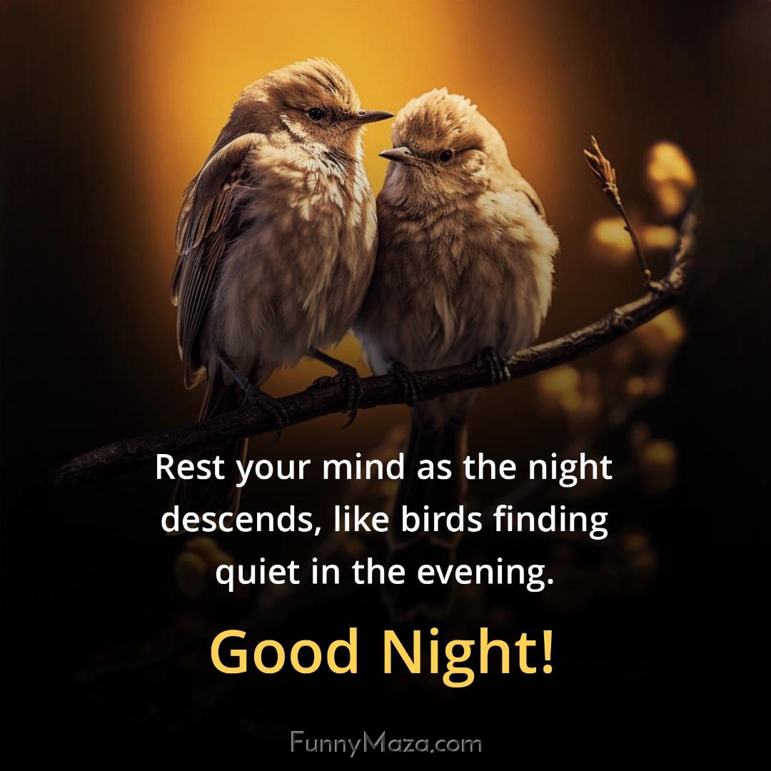 Rest your mind as the night descends like birds finding quiet