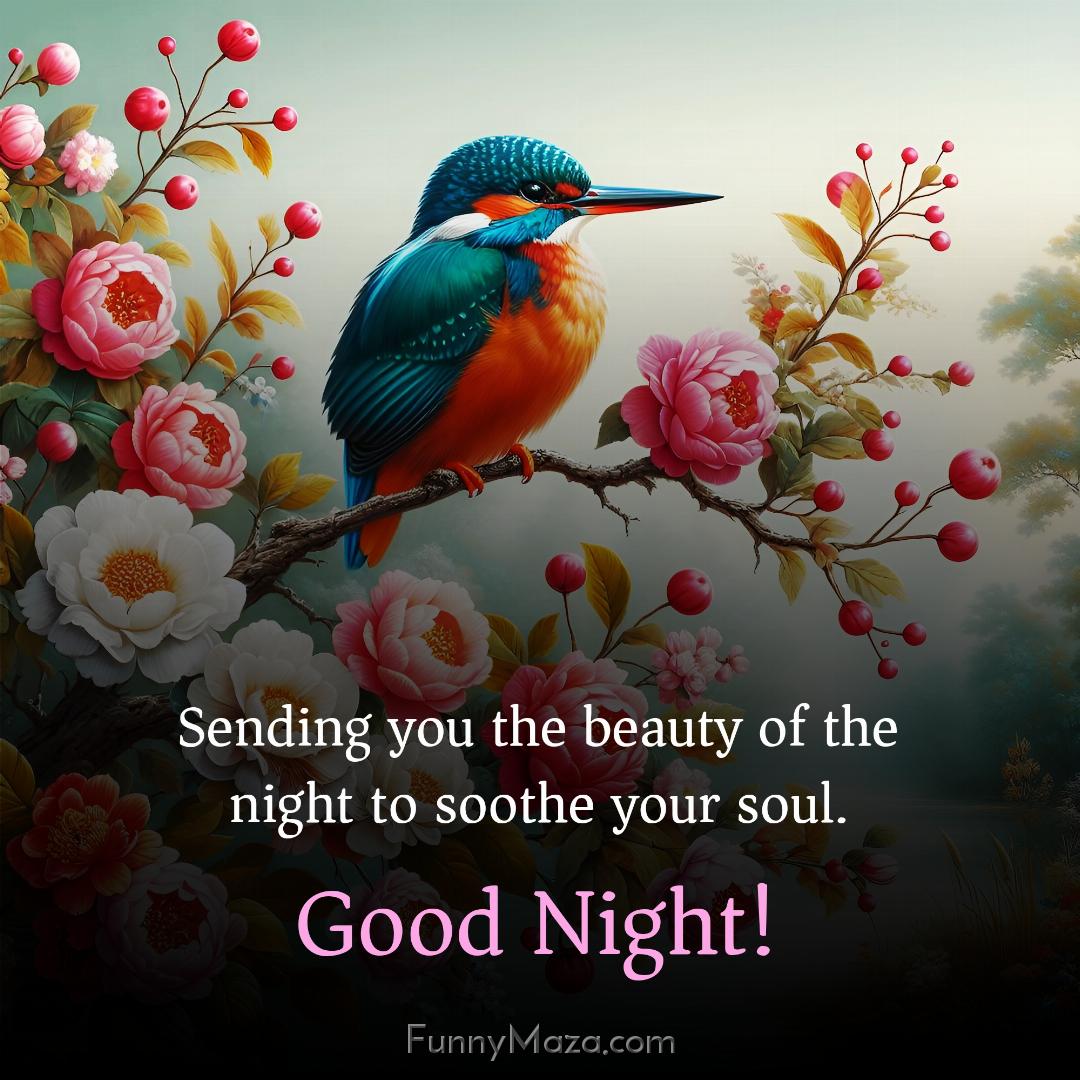 Sending you the beauty of the night to soothe your soul