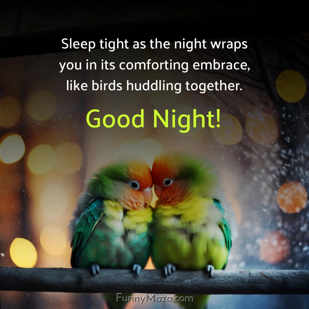 Sleep tight as the night wraps you in its comforting embrace