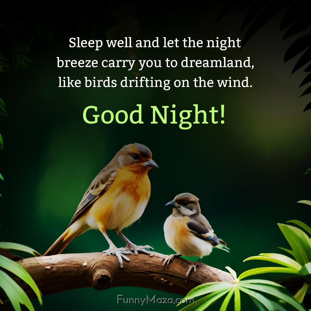 Sleep well and let the night breeze carry you to dreamland