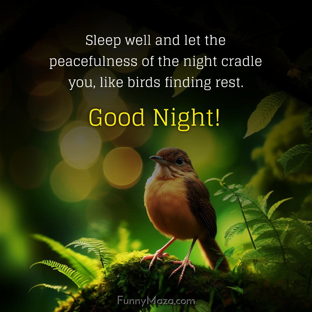 Sleep well and let the peacefulness of the night cradle you