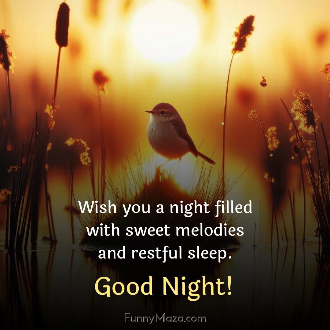 Wish you a night filled with sweet melodies and restful sleep